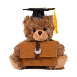 Plushland Graduation Gifts for Kids Class of 2025 Mini Graduation Teddy Bear Orange Gift Cards Holder Stuffed Animal Plush Toys with Graduation Cap for Graduates Party 6 Inches