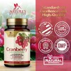 Cranberry Concentrate Extract Supplement for Women & Men + Vitamin