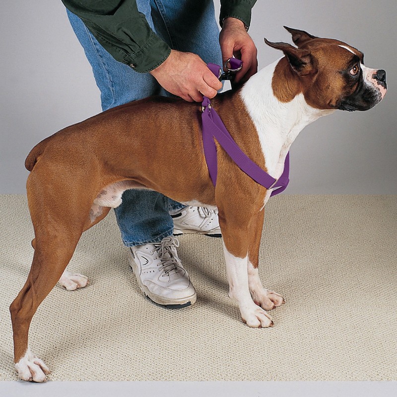 Guardian Gear 2 Step Pet Harness Sparkling