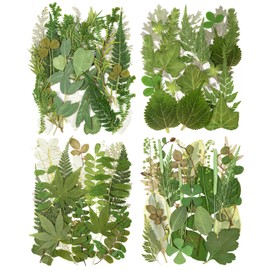 95Pcs Real Pressed Dried Leaves for Resin, 34 Styles Natural Dry Leaf for DIY Crafts, Green Dried Leaves for Epoxy Molds Jewelry, Candle, Bookmarks,Soap Making, Card Scrapbook