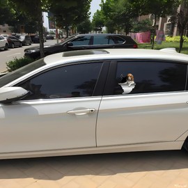 3D Beagle Hund Aufkleber, Reißeffekt Reflektierend, Wasserfest, für Auto, Stoßstange, Fenster, Kühlschrank, Heimdekoration (25cm/9.8 Inch)