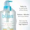 Bliss Lemon & Sage Luscious Hand Wash with Aloe