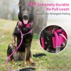 Strong Slip Lead Dog Leash, Heavy Duty Nylon Dog Training