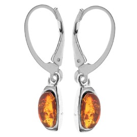 In Collections 320260031980 Silver Amber Earrings