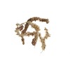 Sphagnum Moss for Terrarium and Orchids from Chile 150 g