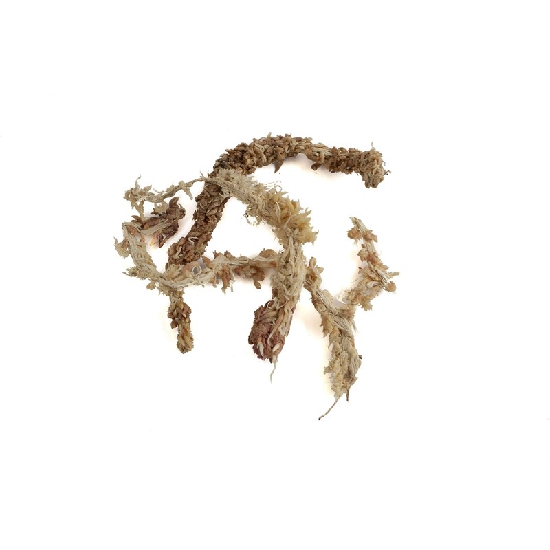 Sphagnum Moss for Terrarium and Orchids from Chile 150 g