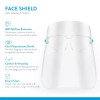 AccuMed 2-Pack Protective Transparent Face Shield with Glasses Frame (2-count)