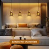 Ceiling Fan Replacement Globes, 4 Pack Chrysanthemum Pattern Fixture Replacement