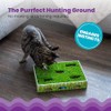 Petstages Caja de Caza con Parche de Hierba para Gatos