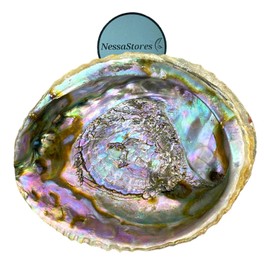 NessaStores 2 Abalone Shells Large 6-7 Inches | Beautiful All Natural Smudge Bowl - Perfect for Smudge Sticks, Incense Sticks and a Sage Smudge Kit. JC-018
