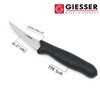 GIESSER seit 1776 - Made in Germany - Ausbeinmesser rutschfest