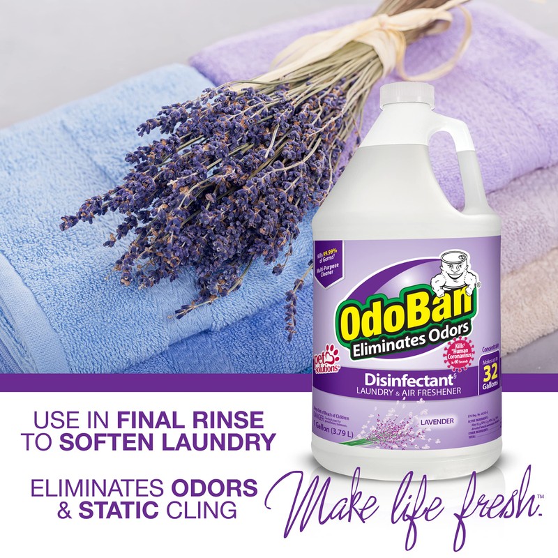 OdoBan Disinfectant Concentrate and Odor Eliminator, Made in the USA,