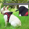 PINA Dog Harness for Small Dogs No Pull, Small Dog