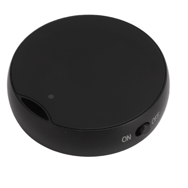 Magnetic Voice Recorder DSP Noise Reduction Long Recording Time Timestamp