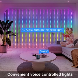 echosari Smart LED Curtain Lights Outdoor, 20ft x 10ft 600 LEDs Hanging String Lights with APP Control, Plug-in DIY Fairy Lights Dynamic for Backyard Home Wedding Party Decor