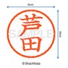 Shachihata Stamp Name 6 Correction Stamp XL-6 Stamp 0.2 inch
