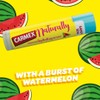 Carmex CARMEX Naturlly Watermelon Lip Balm Stick, 4.25g