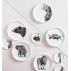 Maxwell & Williams DX0377 Marini Ferlazzo Giant Panda Bone China