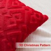 Artscope Pack of 2 Soft Plush Short Wool Velvet Decorative