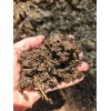 horse manure compost 20 pounds Organic Horse Manure Compost -
