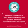 Gyno-Canesbalance Contro La Vaginosi Batterica Trattamento Gel Vaginale 7 Flaconcini
