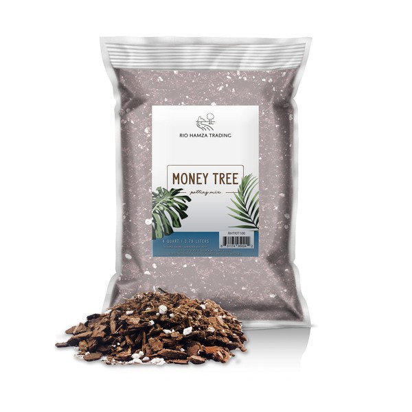 Money Tree Soil (4 Quarts), Potting Mix for Planting/Repotting Pachira