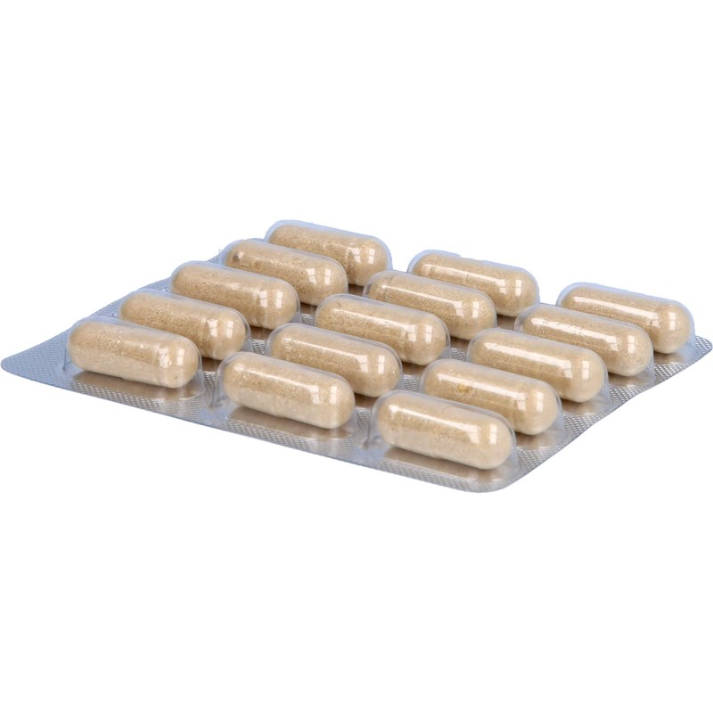 Ami Tamin Hair Plus Capsules Pack of 60)