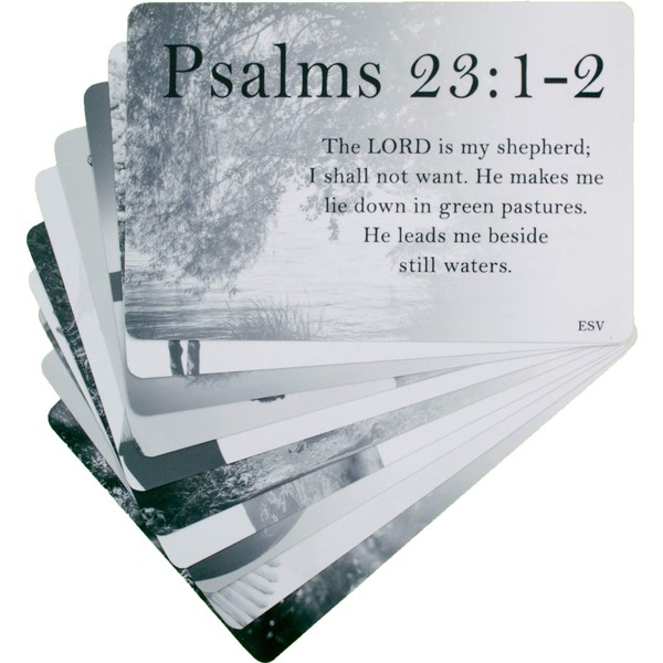 Popular Scripture Cards (10-Pack), Inspirational Memorization Bible Verse Cards of Encouragement (ESV)
