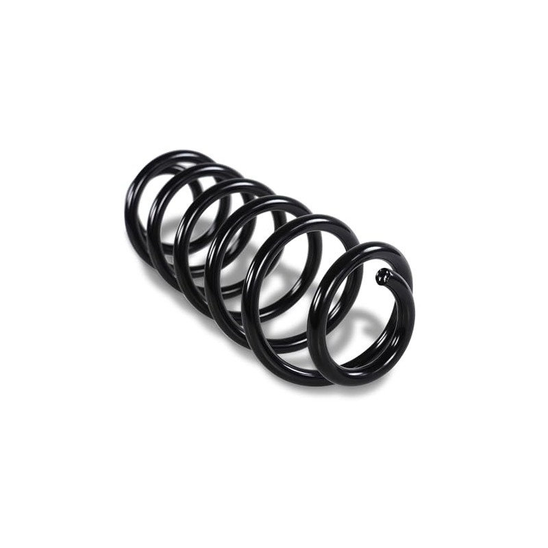 BESTPRICE 2x Suspension Springs Rear Left & Right Compatible with