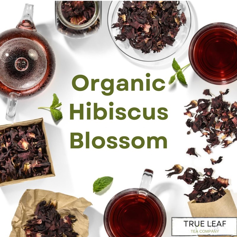 Hibiscus Blossom Tea | Organic | True Leaf Tea |