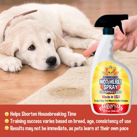 Bodhi Dog Not Here! Spray - Trains Your Pet Where Not to Pee Indoors or Outdoors - Anti Marking Deterrent for Furniture, Carpet & Floor - Training Corrector for Puppies & Dogs - Made in USA (32 Fl Oz)