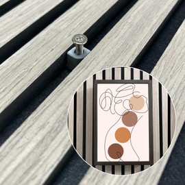 Hooks for Acoustic Panels No Drilling Acupanels Acoustic Wall Panels No Drilling 4 Screw Hooks in a Box Acoustic Panels Accessories