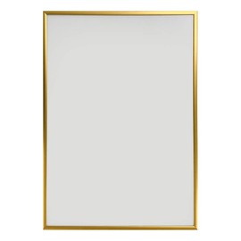 A.P.J. fitted frame inch size (203x255mm) gold