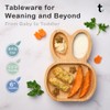 Tiggi Bamboo Baby Plate with Strong Suction Ideal Toddler Plates