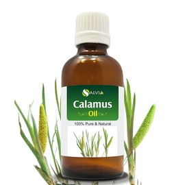 Calamus (Acorus Calamus) Essential Oil 100% Pure & Natural - Undiluted Uncut Cold Pressed Aromatherapy Premium Oil - Therapeutic Grade - 15 ML