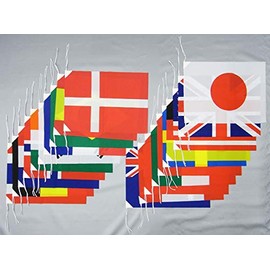 Sports Day Flag Tetoron (Polyester) Made in Japan with Leather Cord 20 Individual Countries Flag Size H27 x 40cm
