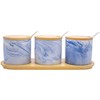 Set of 3 Marble Ceramic Condiment Spice Jars With Spoons