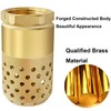 Brass Foot Valve, 2 inch NPT Spring Mesh Check Valve