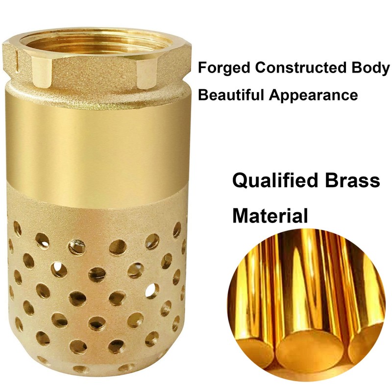 Brass Foot Valve, 2 inch NPT Spring Mesh Check Valve