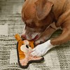 Outward Hound Invincibles Mini Puppy Plush Dog Toy