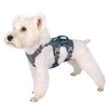 AKAILEA Small Dog Harness Escape Proof Dog Harness with Handle,