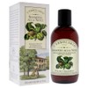 LErbolario L'erbolario walnut shampoo - balancing shampoo for hair and