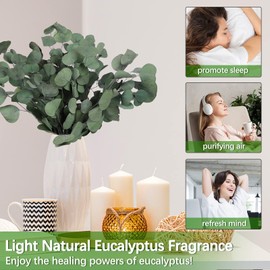 HIAGROW Real Eucalyptus Stems 20PCS Dried Preserved Fresh Eucalyptus Silver Dollar Leaves for Shower - Greenery Branches for Wedding Home Party Vase Filler Spring Decor