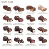 Ethel M Chocolates Taste Of Las Vegas Premium Collection 16-piece,