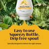 BANANA REÀL, Banana Puree Infused Syrup, 16.9 FL OZ Squeezable