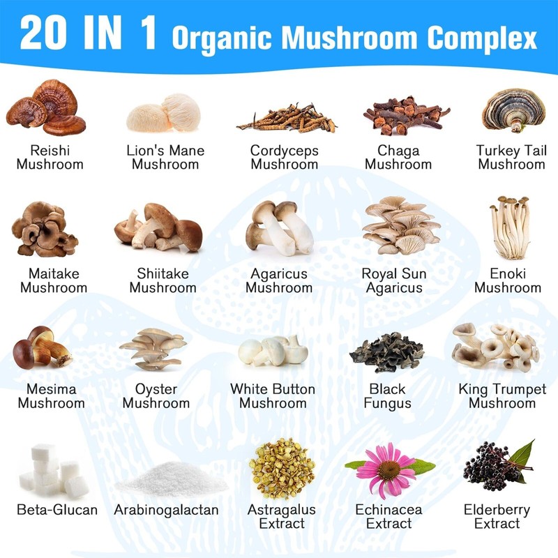 Dmeisy 20 in 1 Organic Mushroom Supplement 120 Count Immune