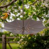 Bird Bath in Umbrella Shape, Bird Bath Umbrella, Original Bird