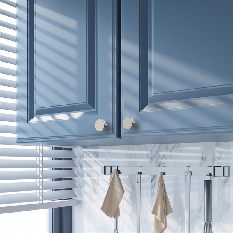 Amerdeco 10 Pack Brushed Satin Nickel Cabinet Knobs Single Hole