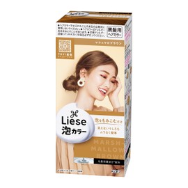 Liese Prettia Bubble Color Hair Dye