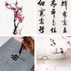 WDEC 10 Pcs Chinese Calligraphy Brushes Set, Calligraphy Brush, Writing